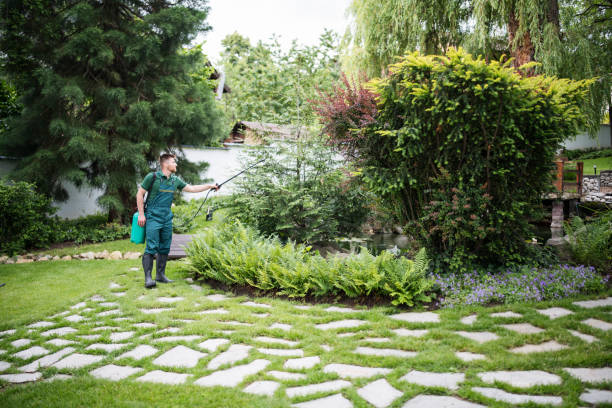 Best Best Pest Control Companies  in Manorhaven, NY