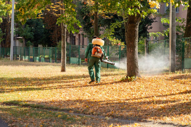 Reliable Manorhaven, NY Pest Control Solutions