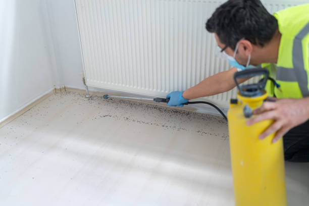 Best Affordable Exterminators  in Manorhaven, NY