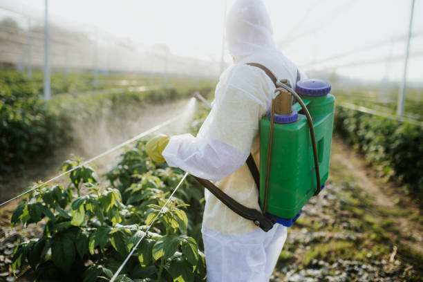 Pest Prevention Services in Manorhaven, NY